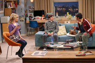 Imagen de The Big Bang... (T7): Ep.10 La disipación del descubrimiento - 8