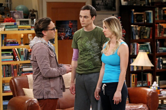 Imagen de The Big Bang... (T7): Ep.13 La reorganización de la profesión - 3