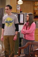 Imagen de The Big Bang... (T7): Ep.16 La polarización de la mesa - 3