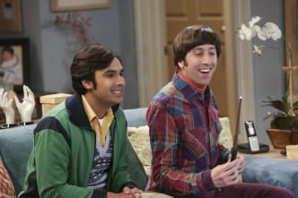Imagen de The Big Bang... (T7): Ep.16 La polarización de la mesa - 7