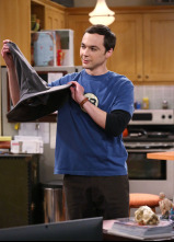 Imagen de The Big Bang... (T7): Ep.21 La recurrencia del todo es posible - 10