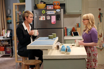 Imagen de The Big Bang Theory (T8): Ep.1 La interrupción de la locomoción - 8