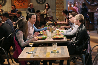 Imagen de The Big Bang Theory (T8): Ep.3 La insuficiencia del primer lanzamiento - 7
