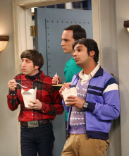 Imagen de The Big Bang Theory (T8): Ep.7 La agitación de la malinterpretación - 1