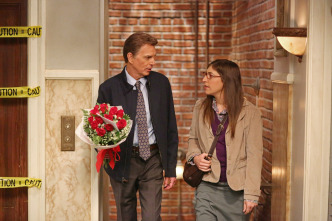 Imagen de The Big Bang Theory (T8): Ep.7 La agitación de la malinterpretación - 2