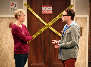 Imagen de The Big Bang Theory (T8): Ep.7 La agitación de la malinterpretación - 4