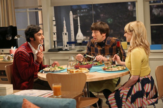 Imagen de The Big Bang Theory (T8): Ep.9 La desviación del tabique - 6