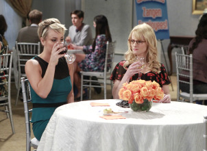 Imagen de The Big Bang Theory (T8): Ep.10 La reflexión del champán - 5