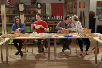 Imagen de The Big Bang Theory (T8): Ep.12 La desintegración de la sonda espacial - 4