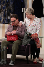 Imagen de The Big Bang Theory (T8): Ep.12 La desintegración de la sonda espacial - 6