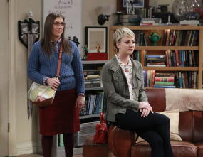 Imagen de The Big Bang Theory (T8): Ep.12 La desintegración de la sonda espacial - 7