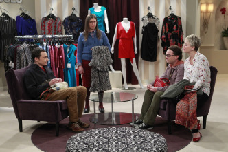 Imagen de The Big Bang Theory (T8): Ep.12 La desintegración de la sonda espacial - 9