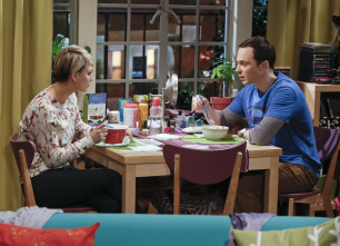 Imagen de The Big Bang Theory (T8): Ep.16 La aceleración de la intimidad - 8