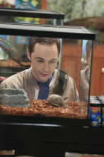 Imagen de The Big Bang Theory (T8): Ep.17 La solicitud de colonización - 5