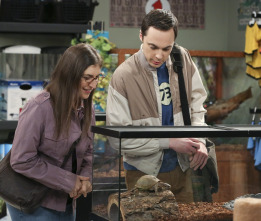 Imagen de The Big Bang Theory (T8): Ep.17 La solicitud de colonización - 6