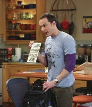 Imagen de The Big Bang Theory (T8): Ep.19 La incursión en Skywalker - 9