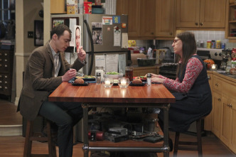 Imagen de The Big Bang Theory (T8): Ep.20 La implementación de la fortificación - 5