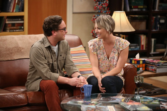 Imagen de The Big Bang Theory (T8): Ep.24 La determinación del compromiso - 6