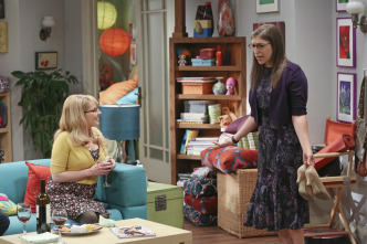 Imagen de The Big Bang Theory (T9): Ep.8 La observación de la cita misteriosa - 6