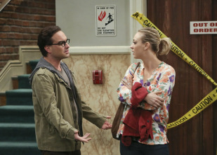 Imagen de The Big Bang Theory (T9): Ep.8 La observación de la cita misteriosa - 7