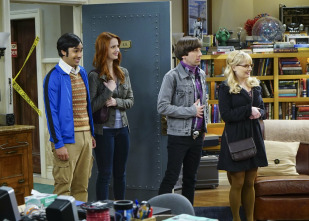 Imagen de The Big Bang Theory (T9): Ep.9 La permutación platónica - 4