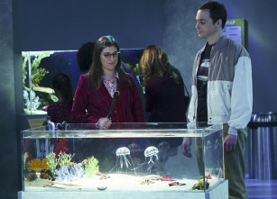 Imagen de The Big Bang Theory (T9): Ep.9 La permutación platónica - 6