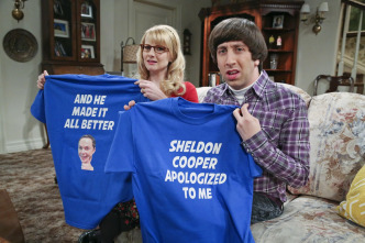 Imagen de The Big Bang Theory (T9): Ep.13 La optimización de la empatía - 4