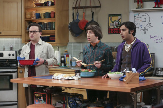 Imagen de The Big Bang Theory (T9): Ep.13 La optimización de la empatía - 5