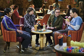 Imagen de The Big Bang Theory (T9): Ep.16 La reacción positivo-negativa - 3