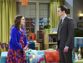 Imagen de The Big Bang Theory (T9): Ep.17 La experimentación de la celebración - 6