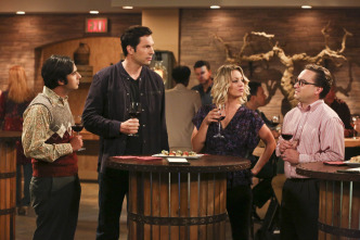 Imagen de The Big Bang Theory (T9): Ep.22 La fermentación de la bifurcación - 5