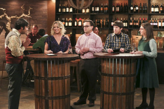 Imagen de The Big Bang Theory (T9): Ep.22 La fermentación de la bifurcación - 6