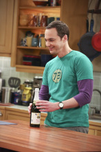 Imagen de The Big Bang Theory (T9): Ep.22 La fermentación de la bifurcación - 7
