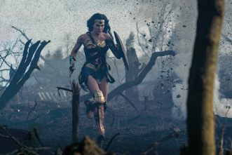 Imagen de Wonder Woman - 10