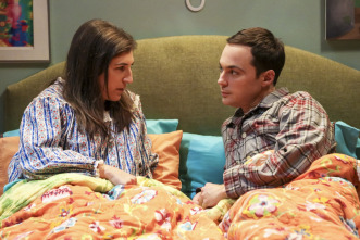 Imagen de The Big Bang Theory (T10): Ep.4 La experimentación de la cohabitación - 3