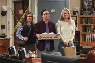 Imagen de The Big Bang Theory (T10): Ep.4 La experimentación de la cohabitación - 7