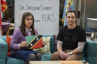 Imagen de The Big Bang Theory (T10): Ep.7 La elasticidad de la veracidad - 6