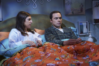 Imagen de The Big Bang Theory (T10): Ep.7 La elasticidad de la veracidad - 7