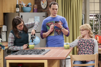 Imagen de The Big Bang Theory (T10): Ep.8 La incubación del cerebro en un bol - 4