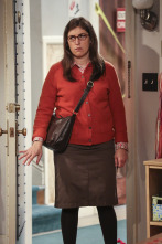 Imagen de The Big Bang Theory (T10): Ep.8 La incubación del cerebro en un bol - 5