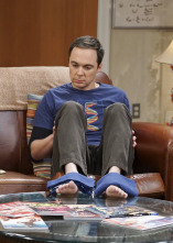 Imagen de The Big Bang Theory (T10): Ep.9 La elevación de la geología - 1