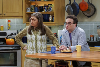 Imagen de The Big Bang Theory (T10): Ep.9 La elevación de la geología - 4