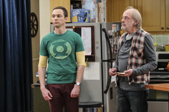 Imagen de The Big Bang Theory (T10): Ep.10 La colisión de la división de la propiedad - 2