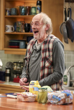 Imagen de The Big Bang Theory (T10): Ep.10 La colisión de la división de la propiedad - 6