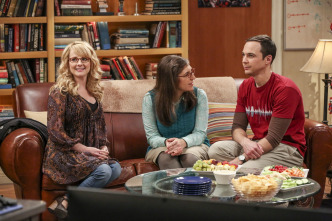 Imagen de The Big Bang Theory (T10): Ep.12 El resumen de las fiestas - 4