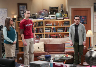 Imagen de The Big Bang Theory (T10): Ep.12 El resumen de las fiestas - 8