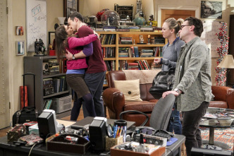 Imagen de The Big Bang Theory (T10): Ep.13 La regulación del amor - 4