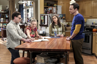 Imagen de The Big Bang Theory (T10): Ep.13 La regulación del amor - 8