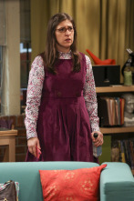 Imagen de The Big Bang Theory (T10): Ep.16 La evaporación de la asignación - 1