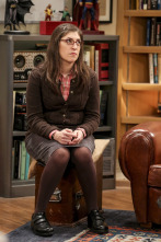 Imagen de The Big Bang Theory (T10): Ep.18 La identificación de la escotilla de escape - 5